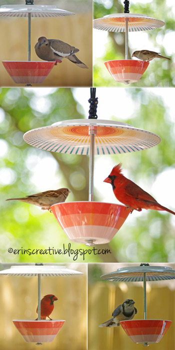 20+ Unique Bird Feeders - Lots of beautiful Bird Feeders