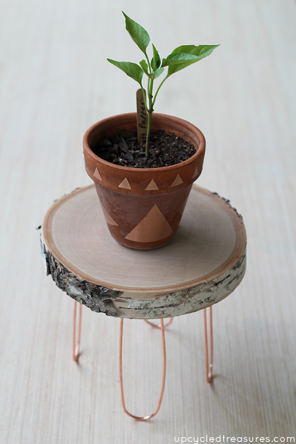 DIY Rustic and Modern Plant Stand