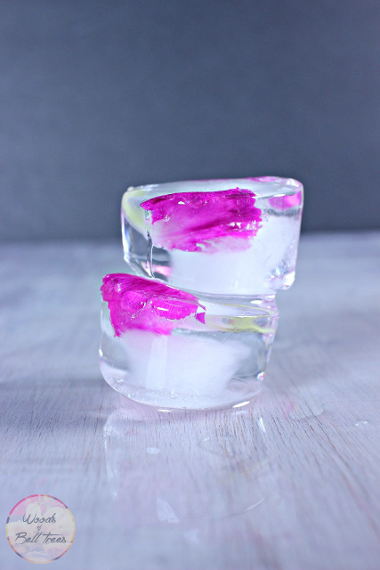 Flower Ice