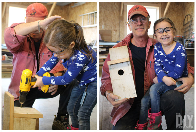 Building Bluebird bird houses