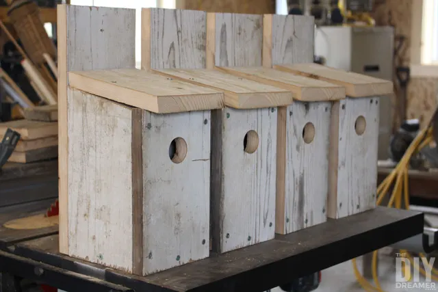 DIY Bluebird birdhouses. Learn how to build a bird house for bluebirds.