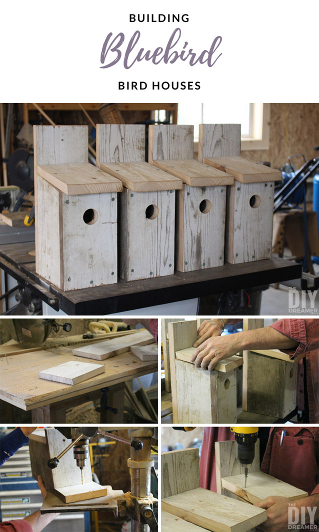Building Bluebird Bird Houses - How to build a bird house