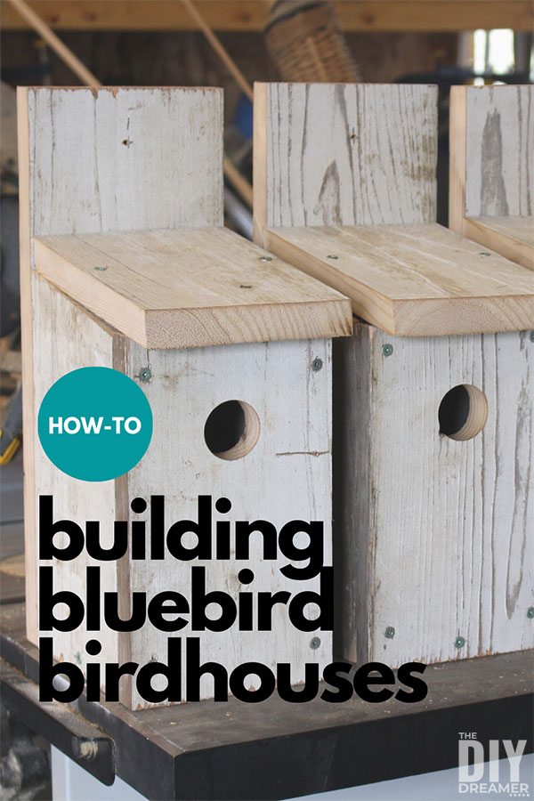 How to build bluebird birdhouses