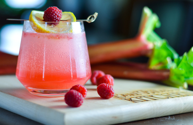 Sparkling Raspberry and Rhubarb Collins