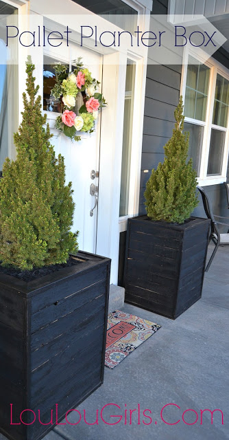DIY Massive Planter Boxes