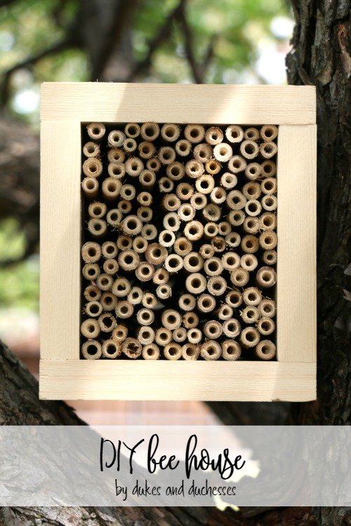 DIY Bee House