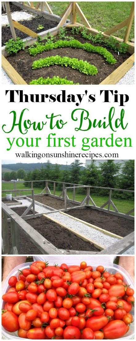 Gardening: How to Build your First Garden