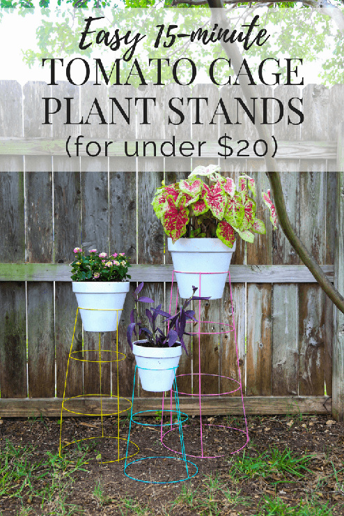 DIY Tomato Cage Plant Stands
