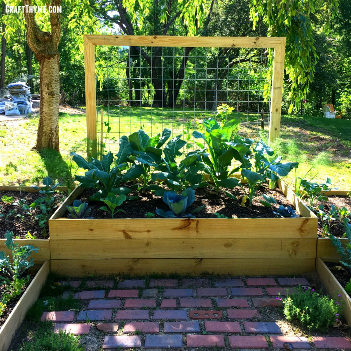How to Build a Garden Box that lasts