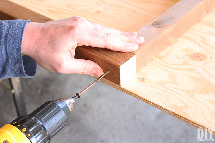 Insert screw into pilot hole